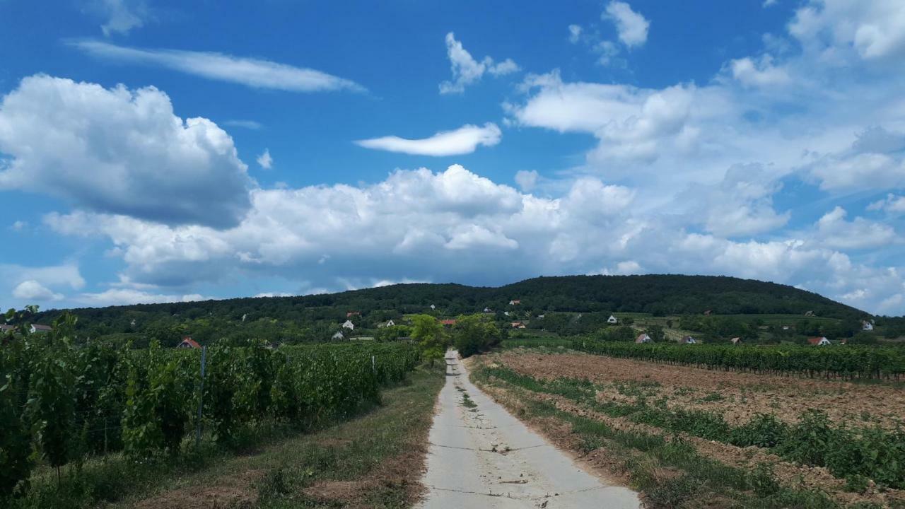 Willa Kali 120 Tagyon Zewnętrze zdjęcie