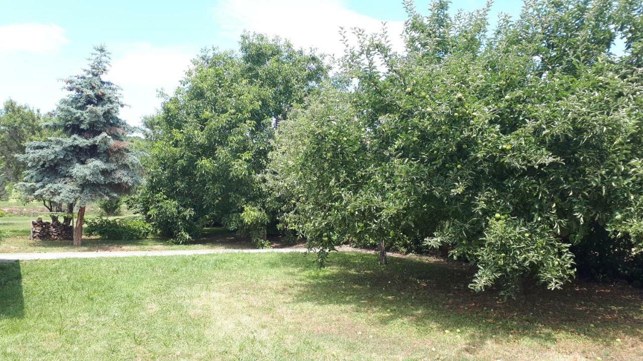 Willa Kali 120 Tagyon Zewnętrze zdjęcie